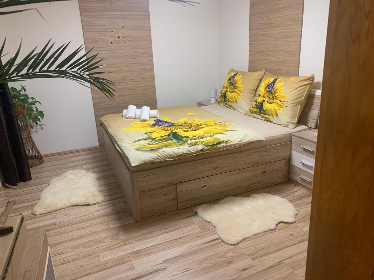 Apartman Slunecnice S Terasou Ceske Budejovice Exterior foto