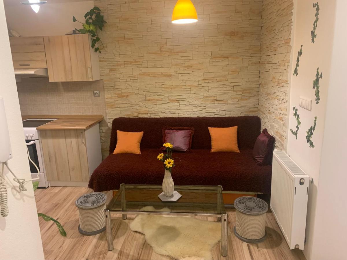Apartman Slunecnice S Terasou Ceske Budejovice Exterior foto