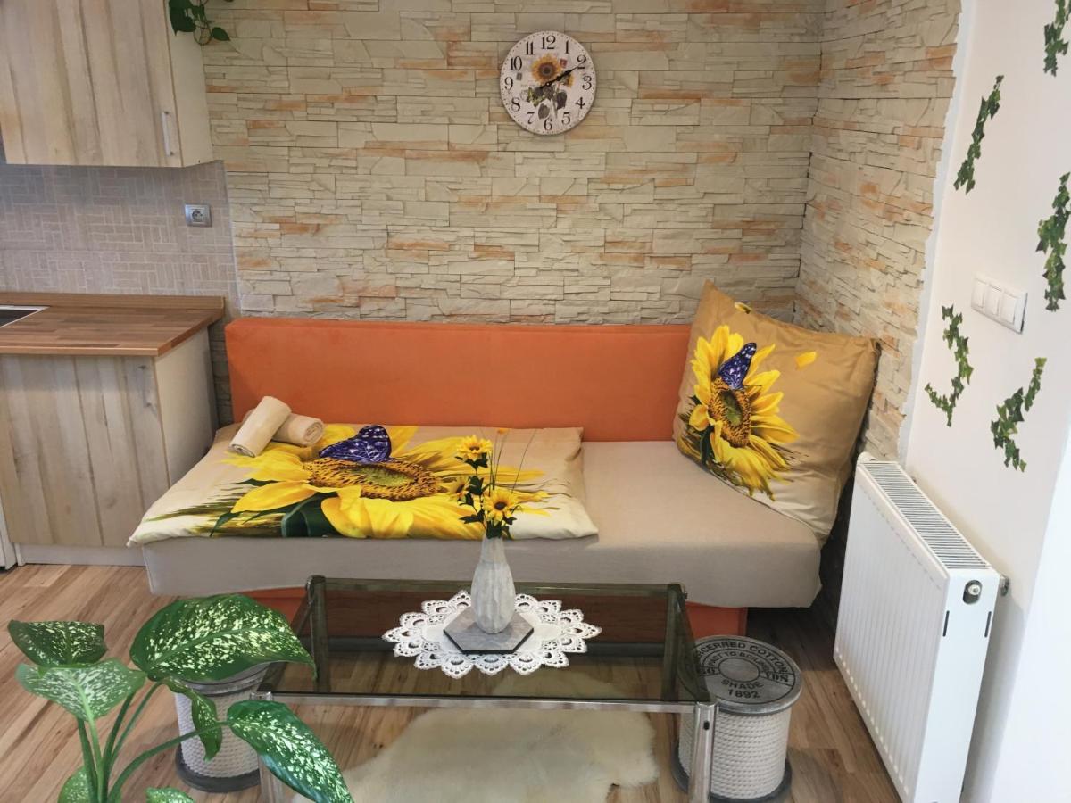 Apartman Slunecnice S Terasou Ceske Budejovice Exterior foto