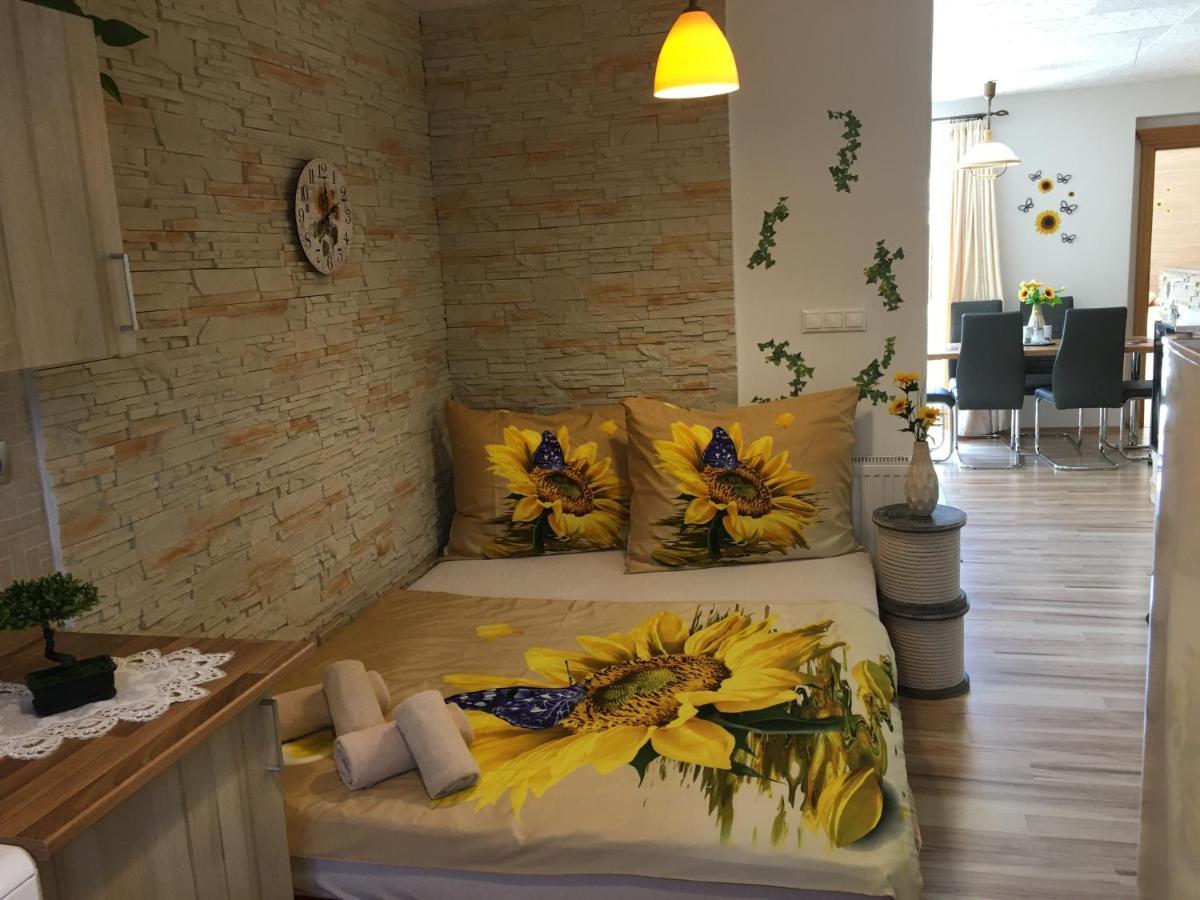 Apartman Slunecnice S Terasou Ceske Budejovice Exterior foto